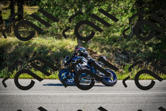 202509271054-DSC00244_c1_