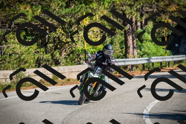 202509271100-DSC00276_c1_