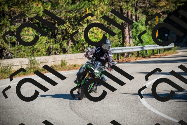 202509271100-DSC00277_c1_