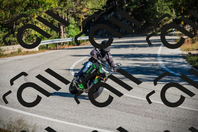 202509271100-DSC00278_c1_