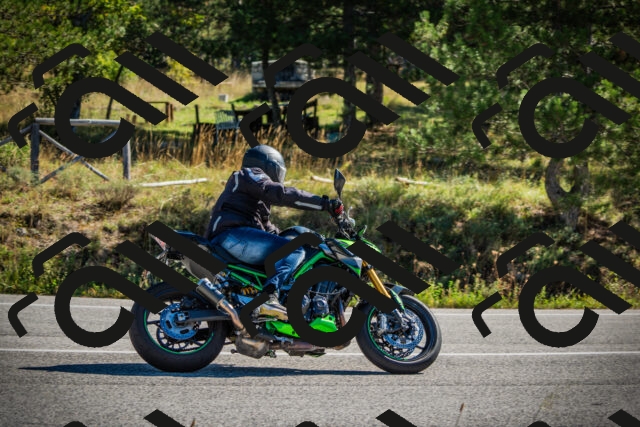 202509271100-DSC00280_c1_