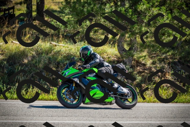 202509271100-DSC00281_c1_