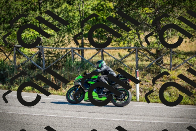 202509271100-DSC00282_c1_