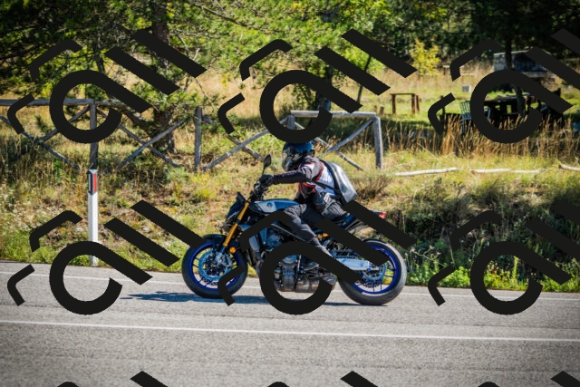 202509271100-DSC00287_c1_