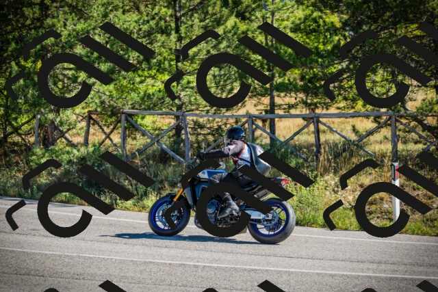 202509271100-DSC00288_c1_