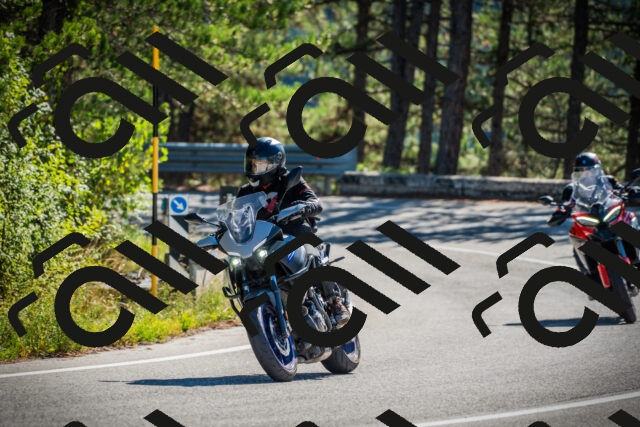 202509271100-DSC00291_c1_