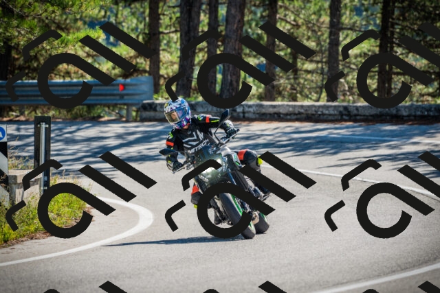 202509271103-DSC00306_c1_