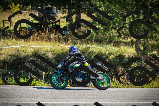 202509271103-DSC00308_c1_