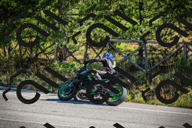 202509271103-DSC00310_c1_