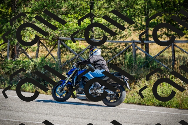 202509271107-DSC00313_c1_