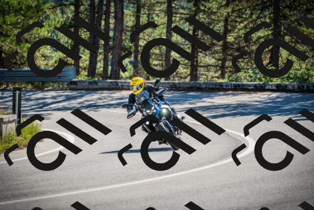 202509271108-DSC00316_c1_