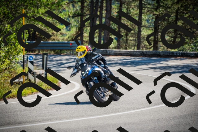 202509271108-DSC00317_c1_