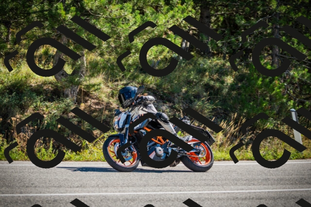 202509271110-DSC00324_c1_