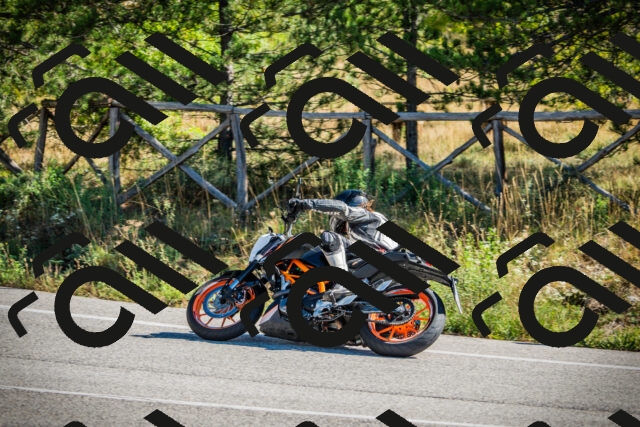 202509271110-DSC00325_c1_