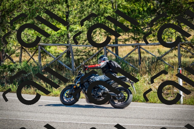 202509271111-DSC00333_c1_