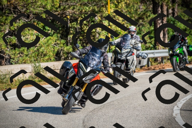 202509271111-DSC00342_c1_