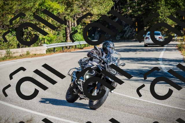 202509271111-DSC00352_c1_