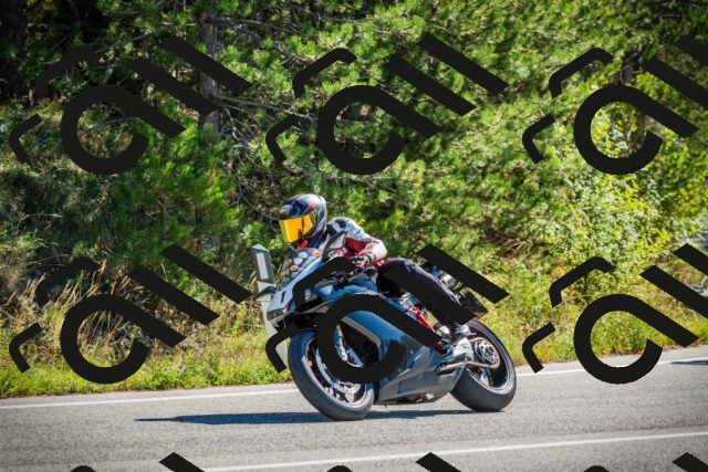 202509271117-DSC00371_c1_