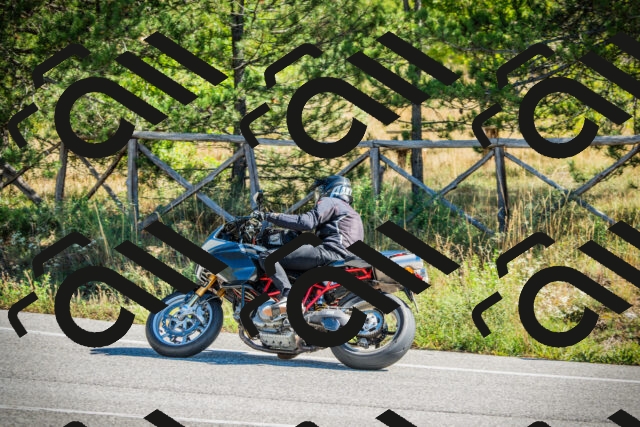 202509271117-DSC00374_c1_