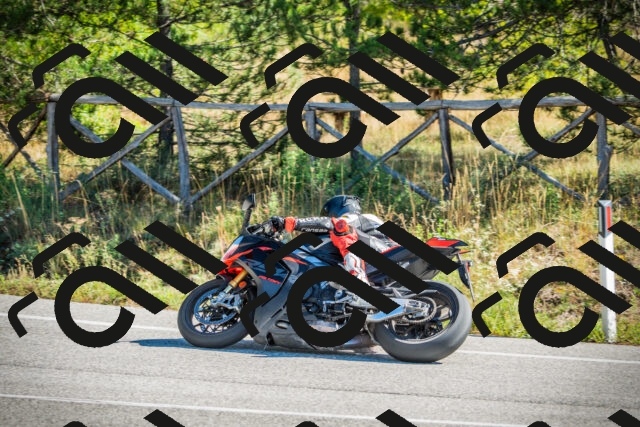 202509271118-DSC00375_c1_