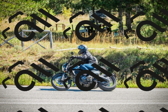 202509271118-DSC00380_c1_