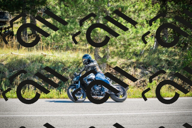 202509271118-DSC00381_c1_