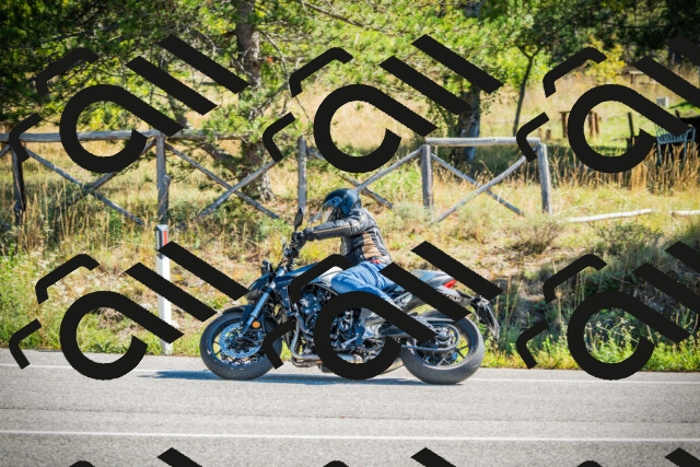 202509271118-DSC00382_c1_