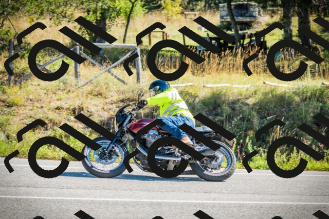 202509271118-DSC00383_c1_