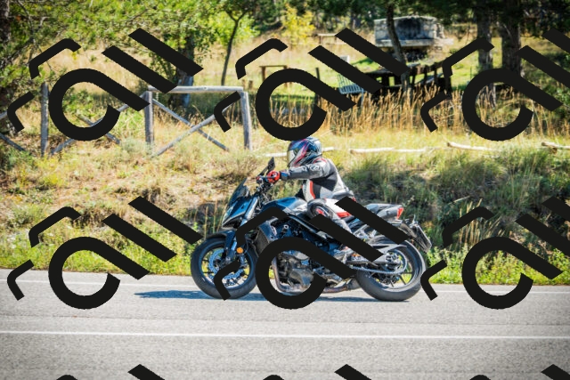 202509271118-DSC00386_c1_