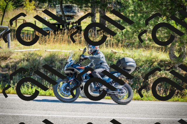 202509271118-DSC00389_c1_