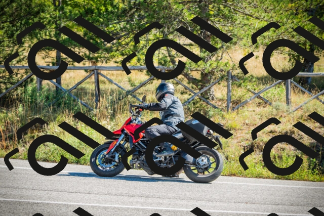 202509271118-DSC00392_c1_