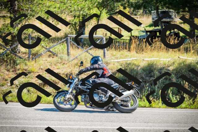 202509271118-DSC00397_c1_