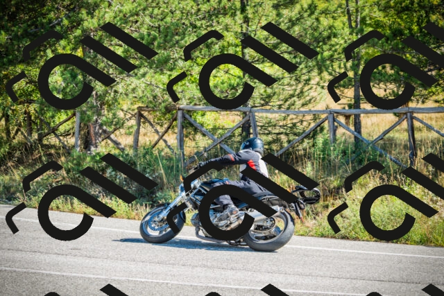 202509271118-DSC00398_c1_