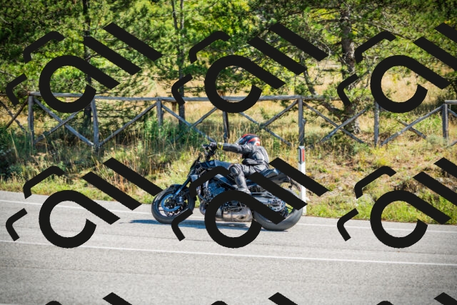 202509271119-DSC00401_c1_