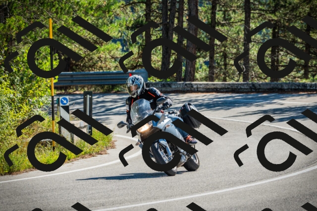 202509271120-DSC00406_c1_