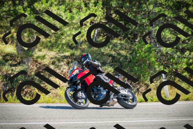 202509271122-DSC00414_c1_