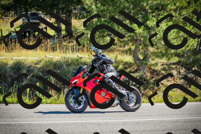 202509271126-DSC00428_c1_