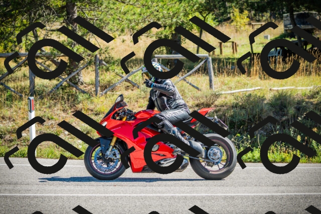 202509271126-DSC00429_c1_