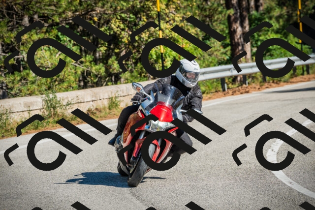 202509271131-DSC00431_c1_