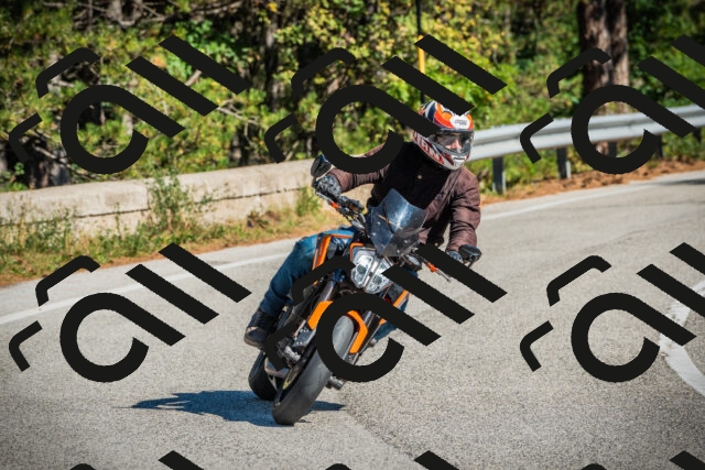 202509271132-DSC00436_c1_