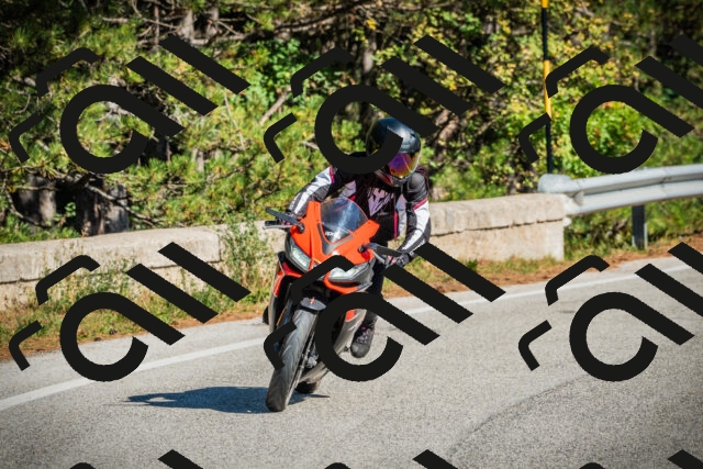 202509271133-DSC00445_c1_