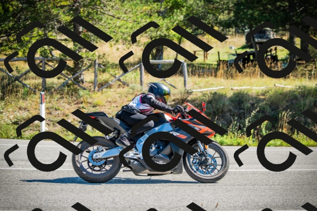 202509271133-DSC00448_c1_