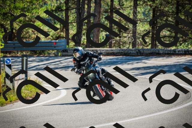 202509271137-DSC00456_c1_