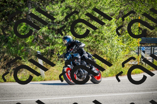 202509271137-DSC00457_c1_