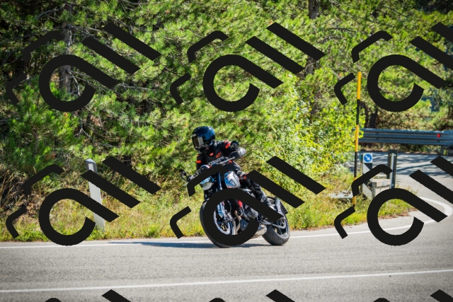 202509271137-DSC00458_c1_