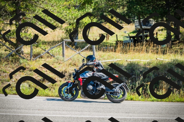 202509271137-DSC00459_c1_