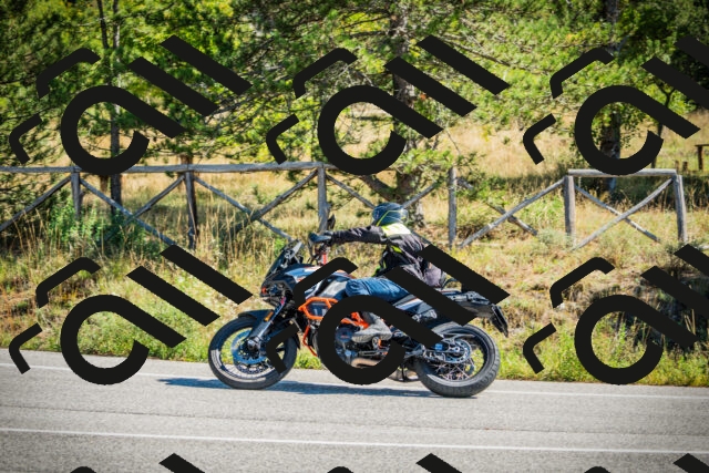 202509271138-DSC00470_c1_