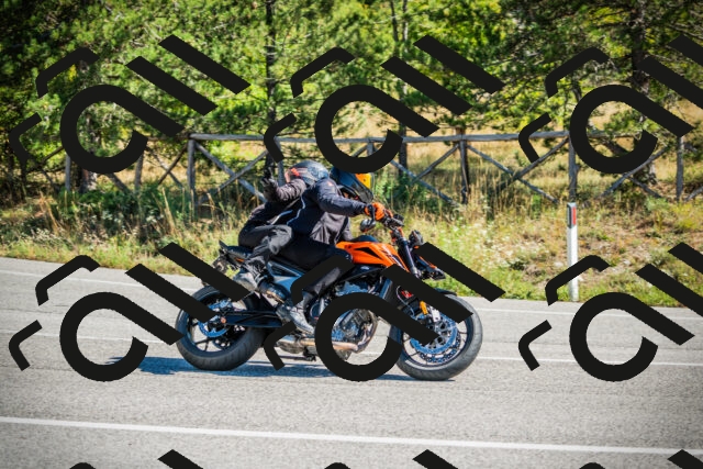 202509271138-DSC00479_c1_