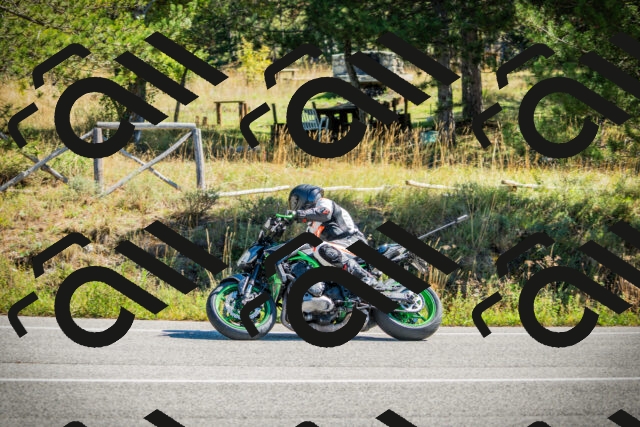 202509271140-DSC00496_c1_