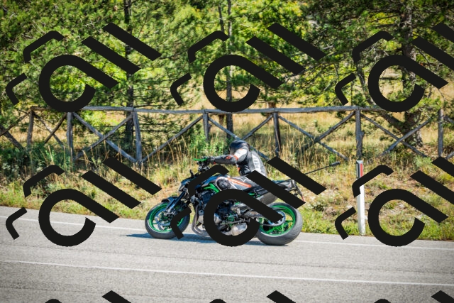 202509271140-DSC00497_c1_